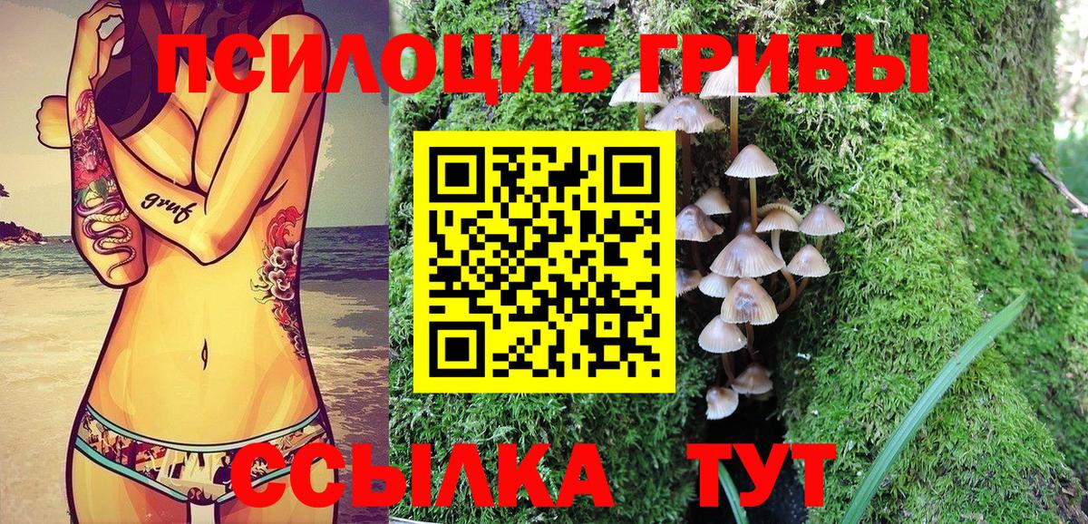 Псилоцибиновые грибы прущие грибы Пушкино