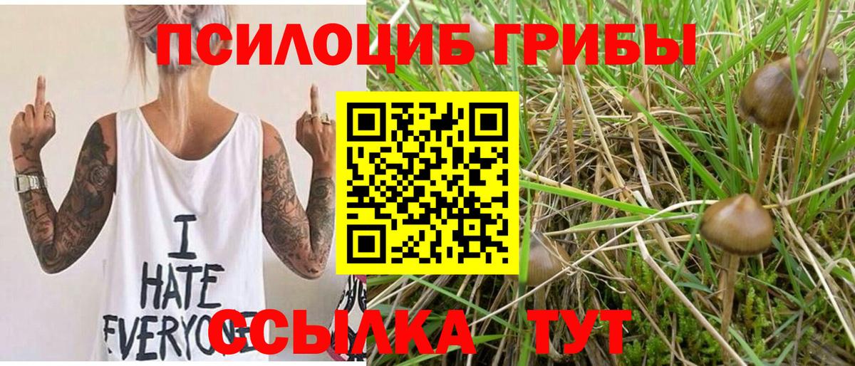 Галлюциногенные грибы прущие грибы  Вход с VPN  Пушкино 